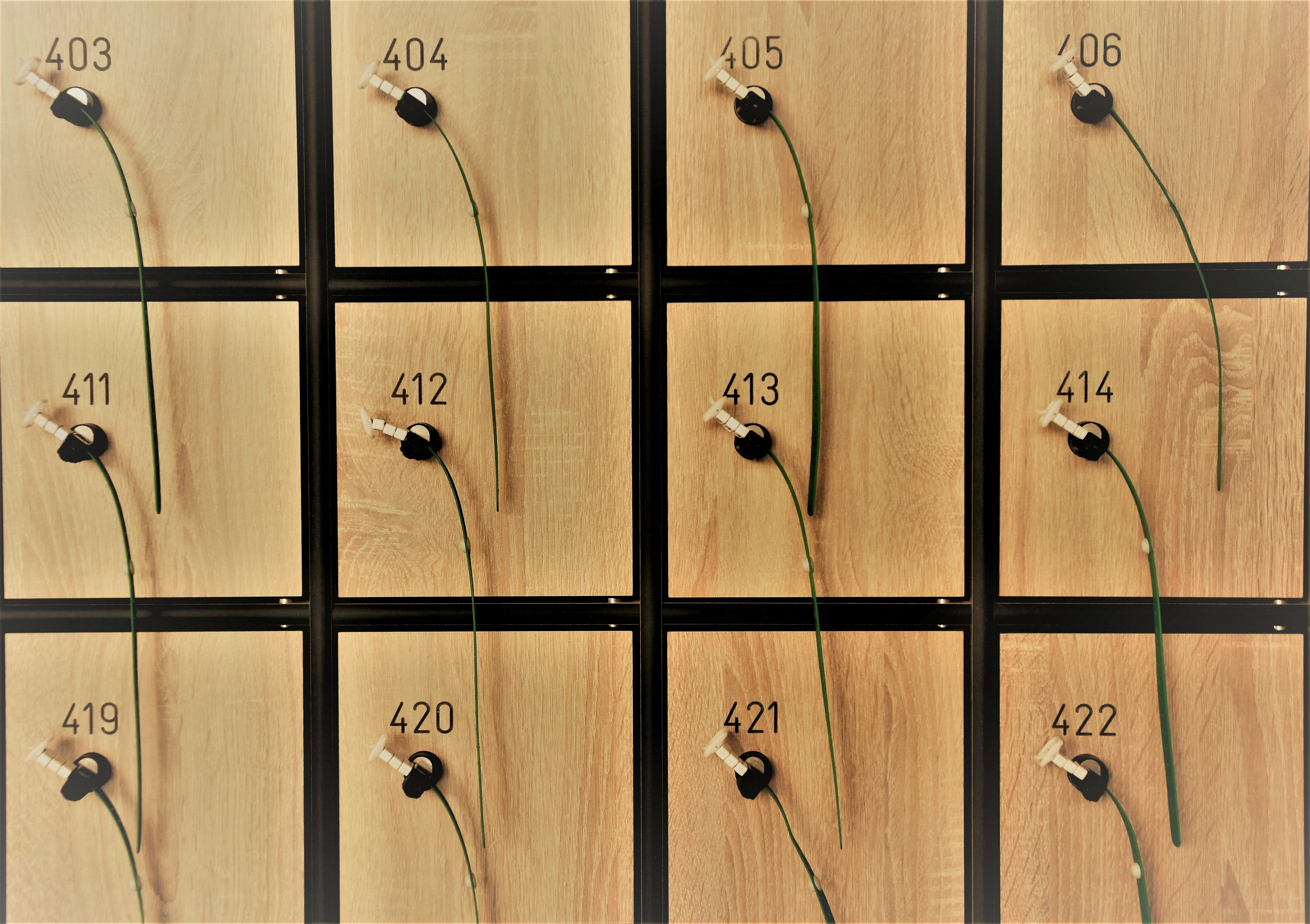 brown and black wooden locker